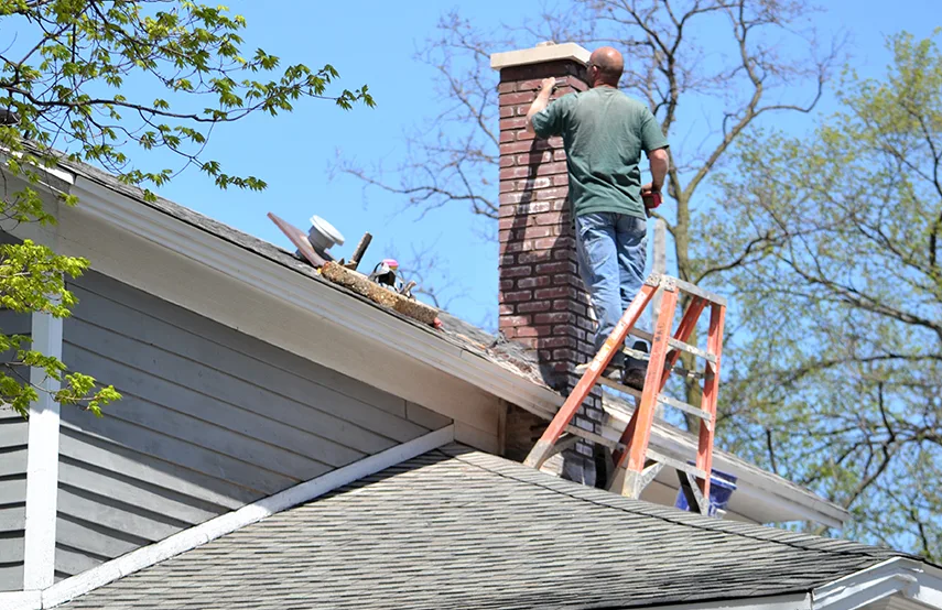Chimney & Fireplace Inspections Services in Vista, CA